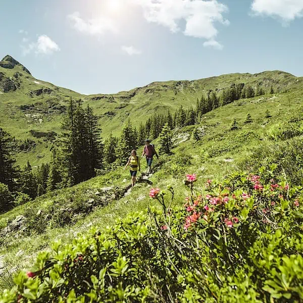 wandern-_-hiking-in-saalbach-hinterglemm_5.600x600.jpg